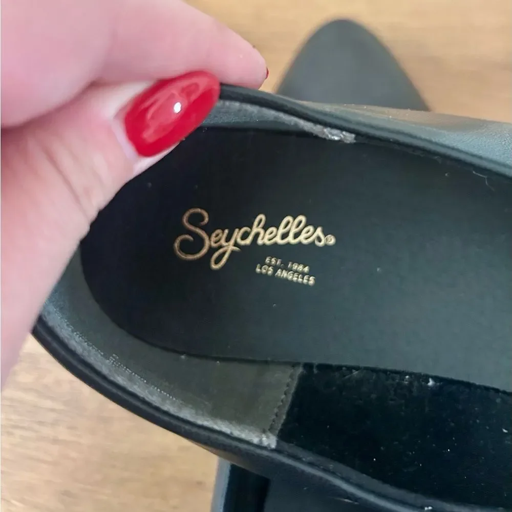 Seychelles Dreamer Pointed Toe Flat Size 9